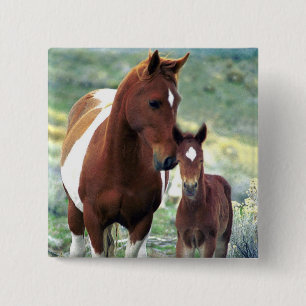 Bóton Quadrado 5.08cm Wild Mare e Foal Button