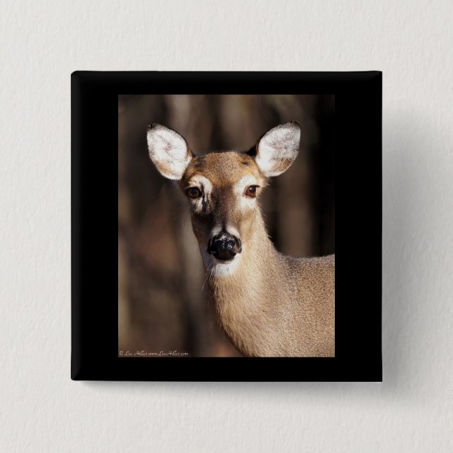 Bóton Quadrado 5.08cm Wildlife Whitetail Deer Doe Portrait (Frente)