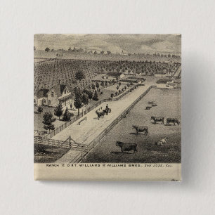 Bóton Quadrado 5.08cm Williams Ranch, Goodrich Quarry