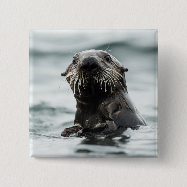 Bóton Quadrado 5.08cm Wise Otter (Frente)