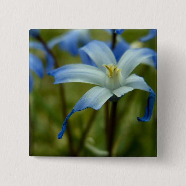 Bóton Quadrado 5.08cm witherly (Frente)