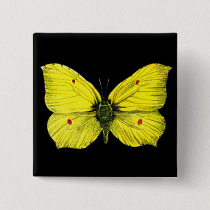 Bóton Quadrado 5.08cm Zitronenfalter
