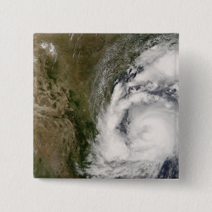 Bóton Quadrado 5.08cm Zorra tropical da tempestade