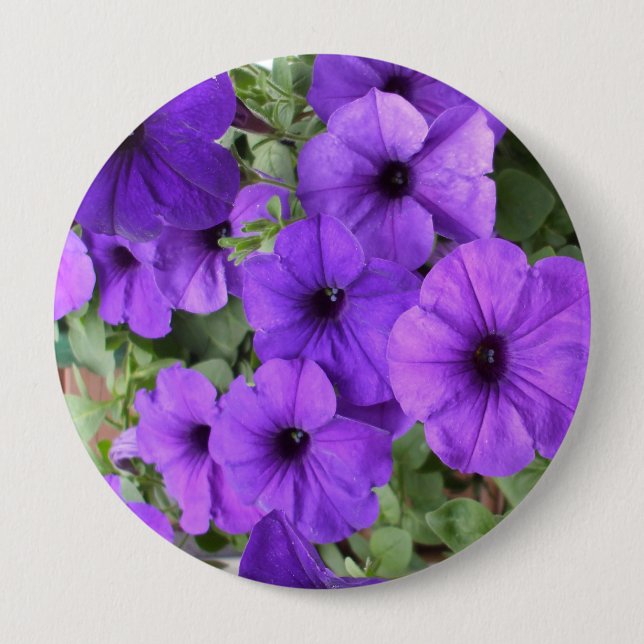 Bóton Redondo 10.16cm Adorável Petunias (Frente)