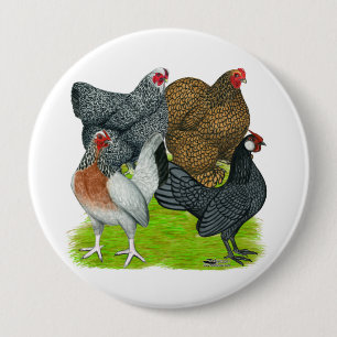 Bóton Redondo 10.16cm Bantam Hen Quartet