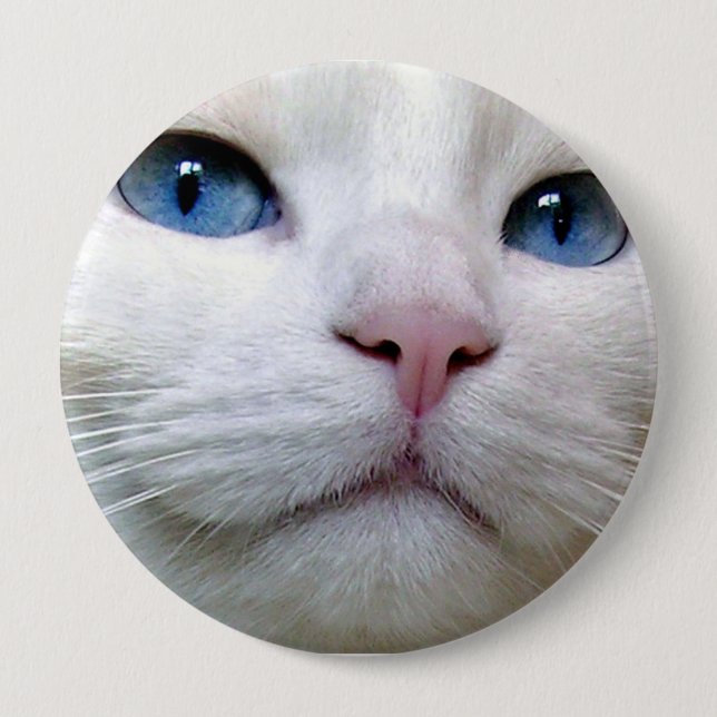 Bóton Redondo 10.16cm Botão de Tom (Frente)