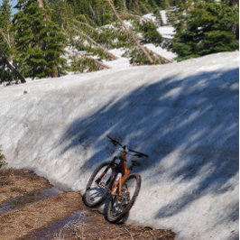 Bóton Redondo 10.16cm Botão redondo, grande, 4 polegadas