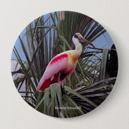 Bóton Redondo 10.16cm botão Roseate Spoonbill