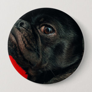 Bóton Redondo 10.16cm cão rojo