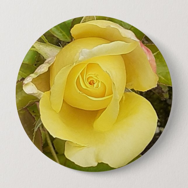 Bóton Redondo 10.16cm Crachá Rosebud Amarelo (Frente)