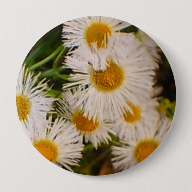 Bóton Redondo 10.16cm Daisies (Frente)