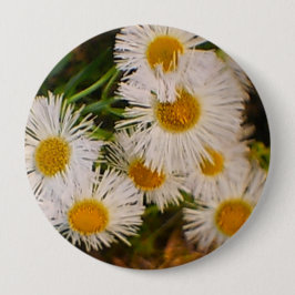 Bóton Redondo 10.16cm Daisy