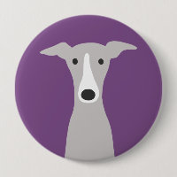 Galgo Grego, Galgo Grego italiano ou Cão Beijo