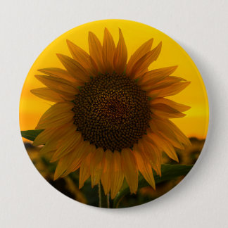 Bóton Redondo 10.16cm Girassol 🌻