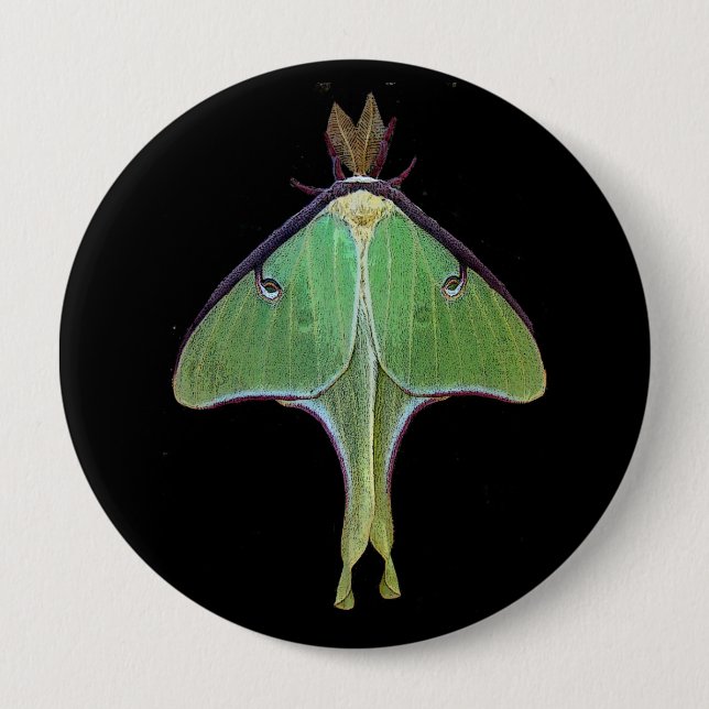 Bóton Redondo 10.16cm Luna Moth (Frente)