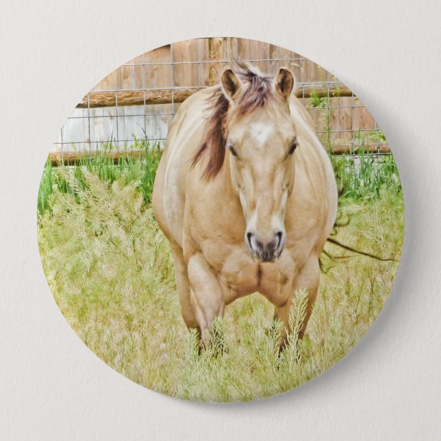 Bóton Redondo 10.16cm Manhã Preguiçosa (Frente)