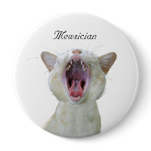 Mewsicista