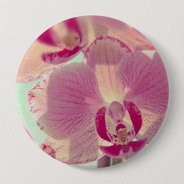 Bóton Redondo 10.16cm Orquídea Rosa (Frente)