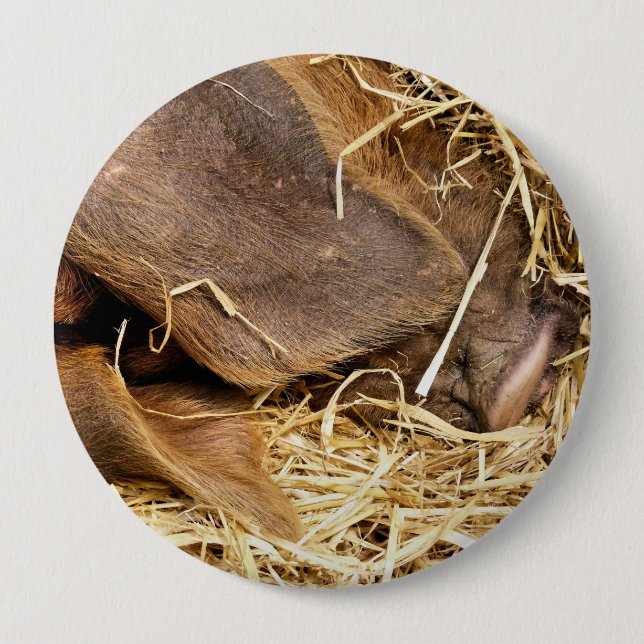 BÓTON REDONDO 10.16CM PIG (Frente)