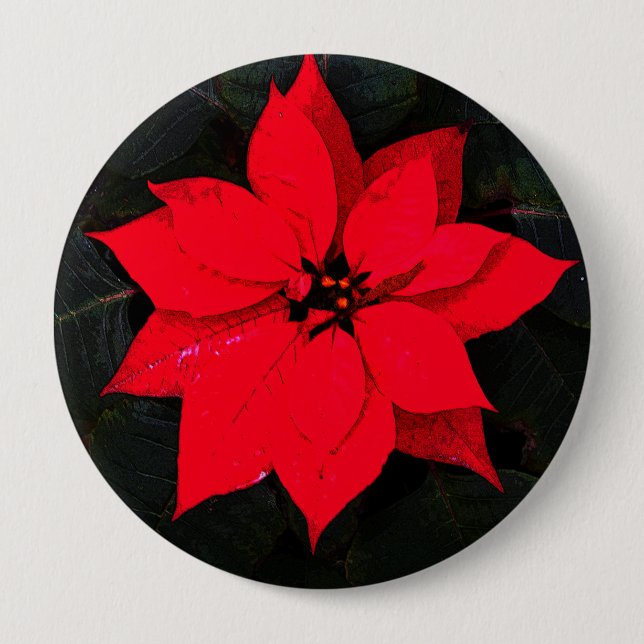 Bóton Redondo 10.16cm Poinsettia 6078 (Frente)