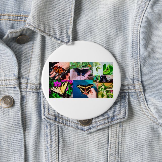 Bóton Redondo 10.16cm Vida da Borboleta (In Situ)