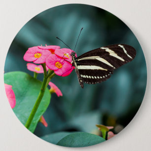 Bóton Redondo 15.24cm Bela borboleta numa flor rosa