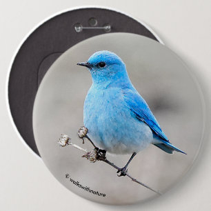 Bóton Redondo 15.24cm Bela Montanha Bluebird