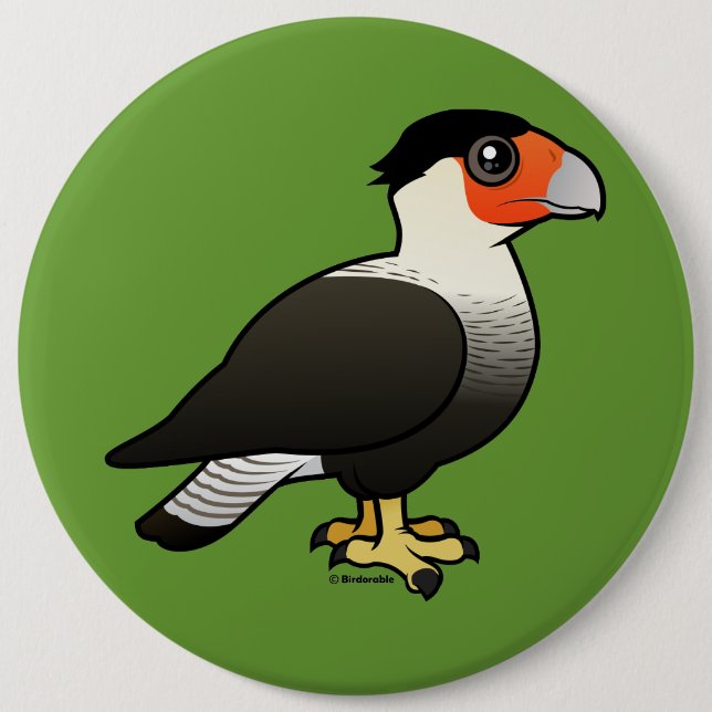 Bóton Redondo 15.24cm Caracara com crista (Frente)