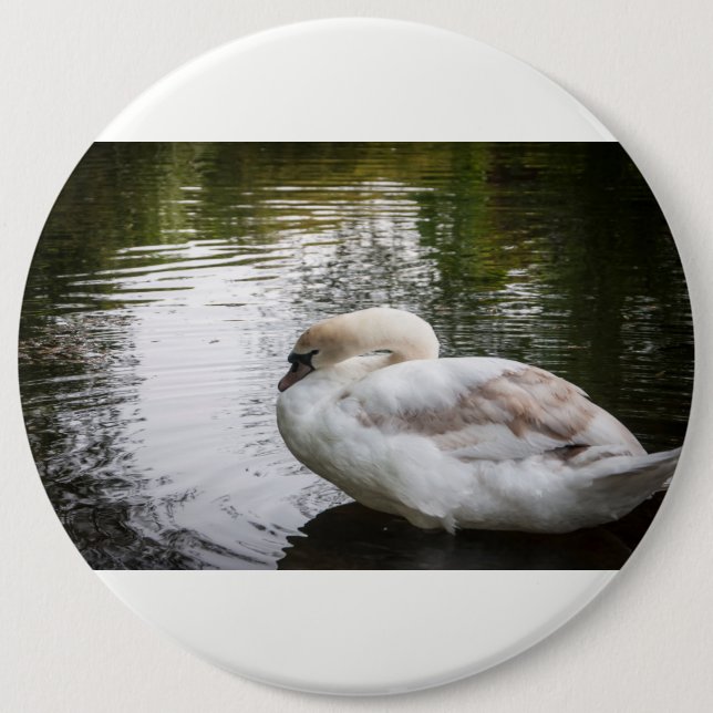 Bóton Redondo 15.24cm Cisne branco (Frente)