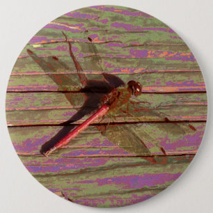 Bóton Redondo 15.24cm Dragonfly Colorful