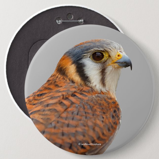 Bóton Redondo 15.24cm Falcão Americano Kestrel Sparrowhawwawk espantoso (Frente & Verso)