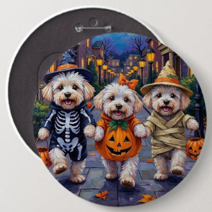 Bóton Redondo 15.24cm Fantasias de Halloween para Bichon Frise pedindo d