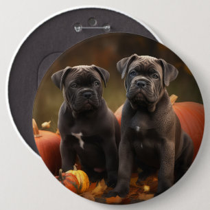 Bóton Redondo 15.24cm Filhote de Cane Corso Delícia de Outono Abóbora
