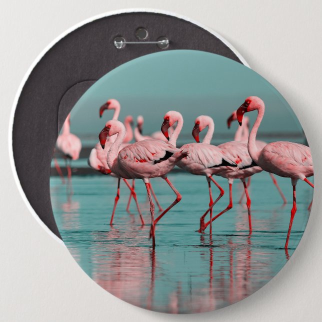 Bóton Redondo 15.24cm flamingos selvagens africanos (Frente & Verso)