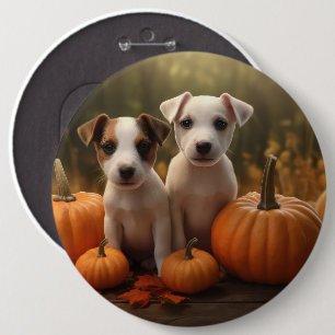Bóton Redondo 15.24cm Jack Russell Puppy Autumn Delight Pumpkin