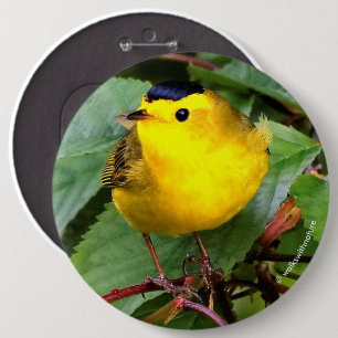 Bóton Redondo 15.24cm Linda Warbler de Wilson na árvore cerejeira