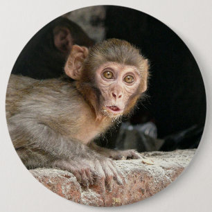 Bóton Redondo 15.24cm Macaco Scared com o botão grande dos olhos