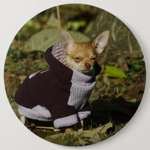 Bóton Redondo 15.24cm Na moda - Chihuahua Puppy