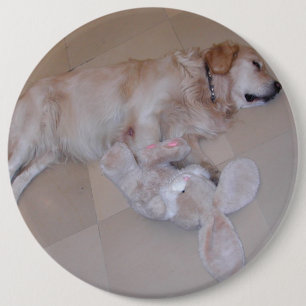 Bóton Redondo 15.24cm Ouro De Dormir Bonito Com Rabbit De Brinquedo