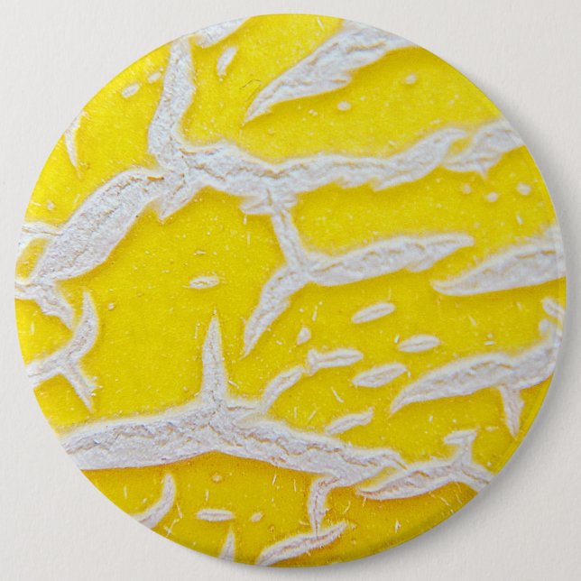 Bóton Redondo 15.24cm Padrão de melão amarelo (Frente)
