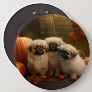 Bóton Redondo 15.24cm Pekingese Puppy Autumn Delight Pumpkin