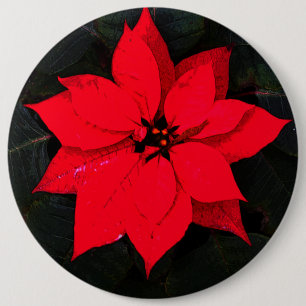 Bóton Redondo 15.24cm Poinsettia 6078