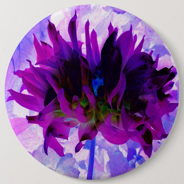 Bóton Redondo 15.24cm Púrpura e preto Cactus Dahlia (Frente)