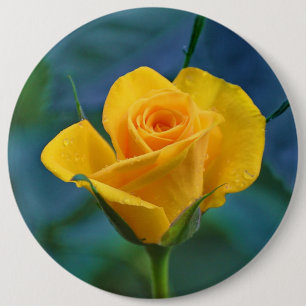 Bóton Redondo 15.24cm Rosa amarelo bonito