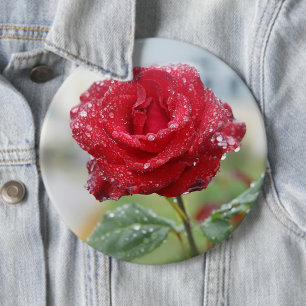 Bóton Redondo 15.24cm Rosa em gotas de chuva