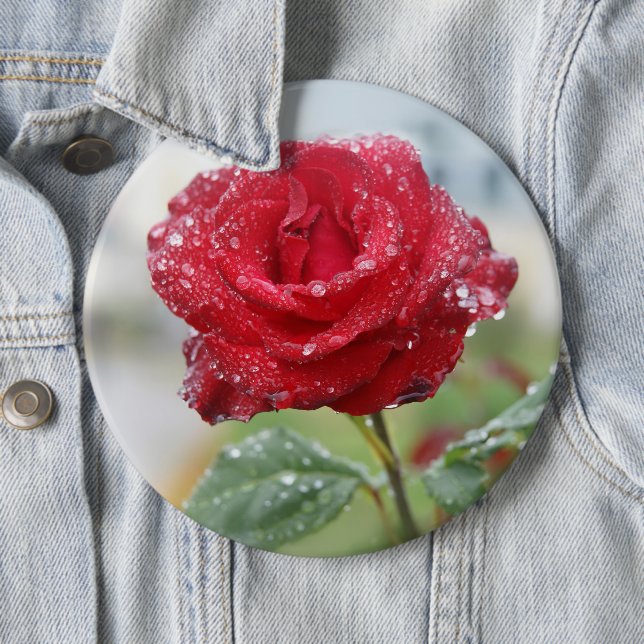 Bóton Redondo 15.24cm Rosa em gotas de chuva (In Situ)