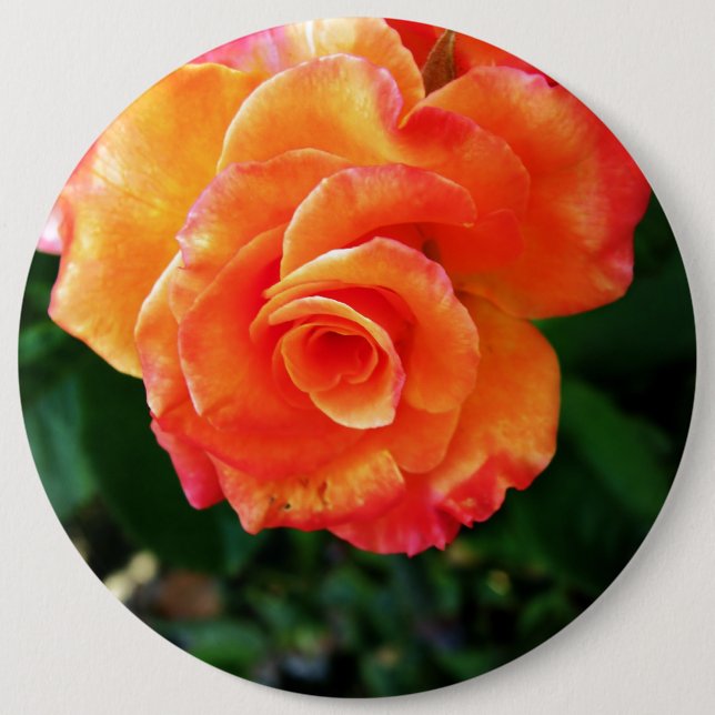 Bóton Redondo 15.24cm Rosa flor de laranja (Frente)