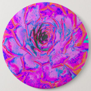 Bóton Redondo 15.24cm Roxo e Magenta Suculenta Sedum Roseta