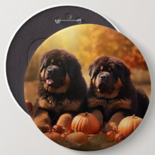 Bóton Redondo 15.24cm Tibetano Mastiff Puppy Autumn Delight Pumpkin