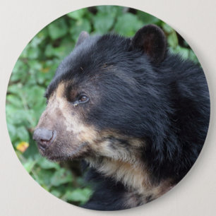 Bóton Redondo 15.24cm Tremarctos ornatus